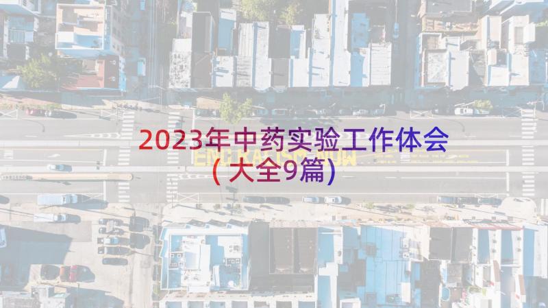 2023年中药实验工作体会(大全9篇)