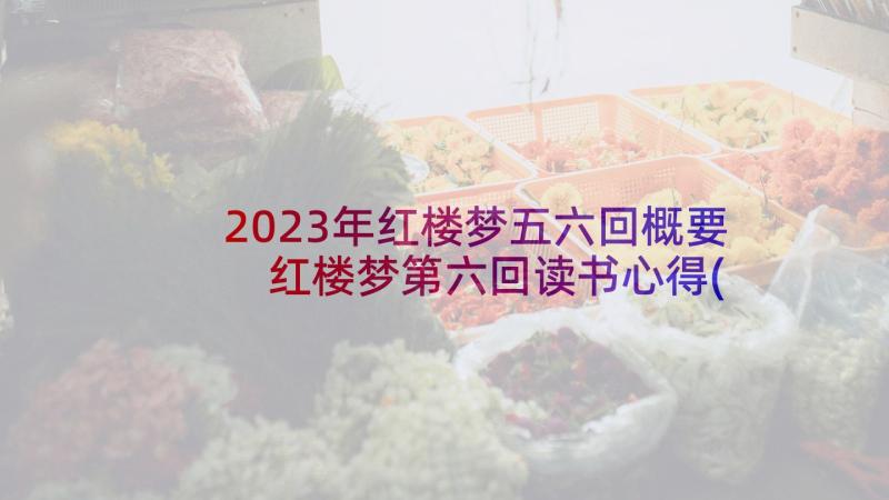 2023年红楼梦五六回概要 红楼梦第六回读书心得(大全5篇)