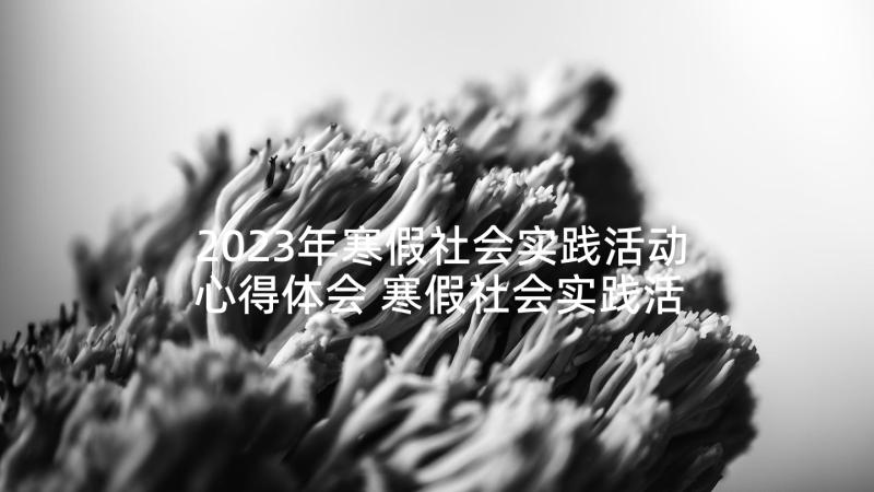 2023年寒假社会实践活动心得体会 寒假社会实践活动总结(优秀6篇)