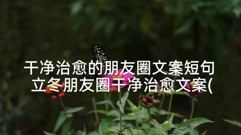 干净治愈的朋友圈文案短句 立冬朋友圈干净治愈文案(精选9篇)