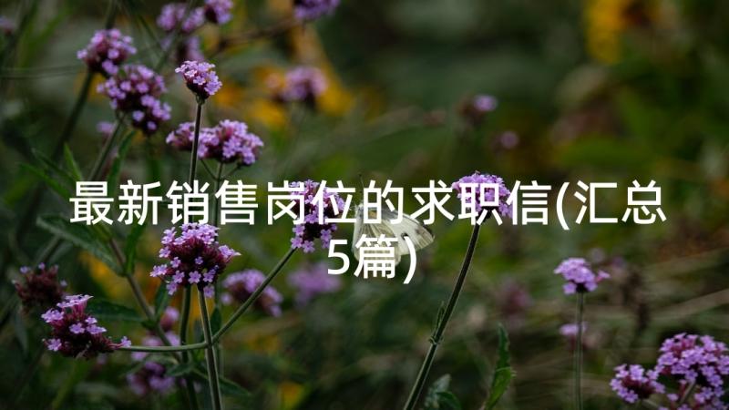 最新销售岗位的求职信(汇总5篇)