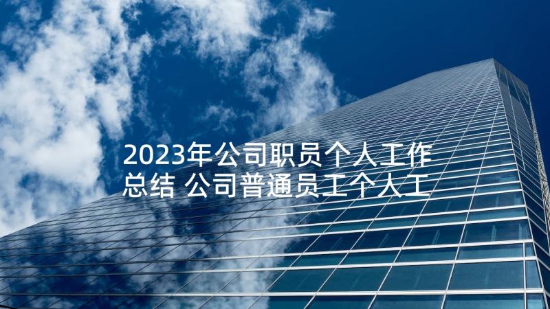 2023年公司职员个人工作总结 公司普通员工个人工作总结(通用7篇)