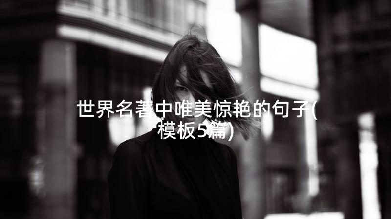 世界名著中唯美惊艳的句子(模板5篇)