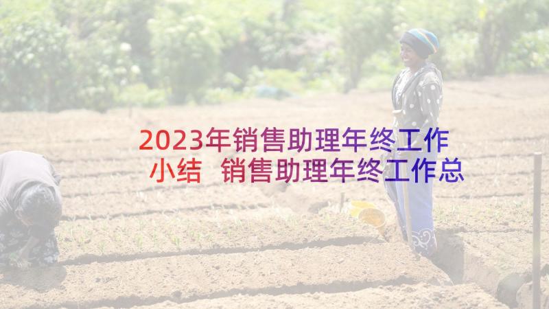 2023年销售助理年终工作小结 销售助理年终工作总结(优秀6篇)