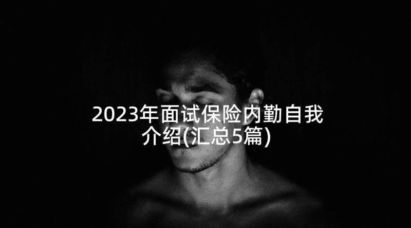 2023年面试保险内勤自我介绍(汇总5篇)