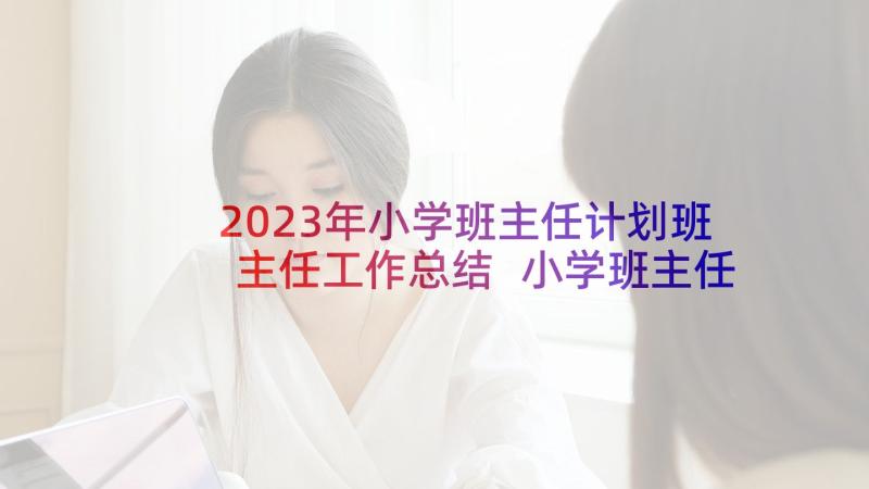 2023年小学班主任计划班主任工作总结 小学班主任工作计划(优质5篇)