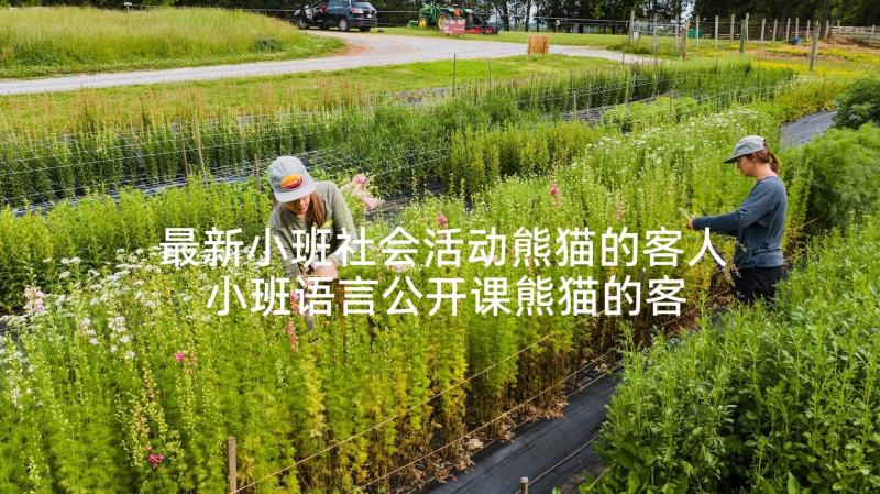 最新小班社会活动熊猫的客人 小班语言公开课熊猫的客人教案(大全5篇)