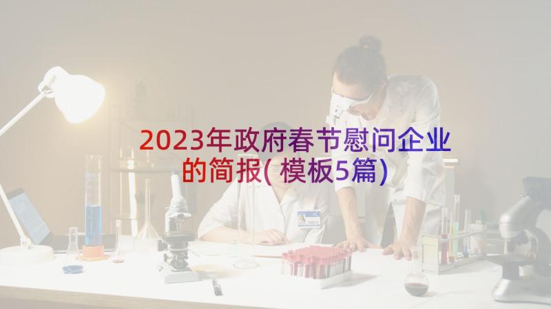 2023年政府春节慰问企业的简报(模板5篇)