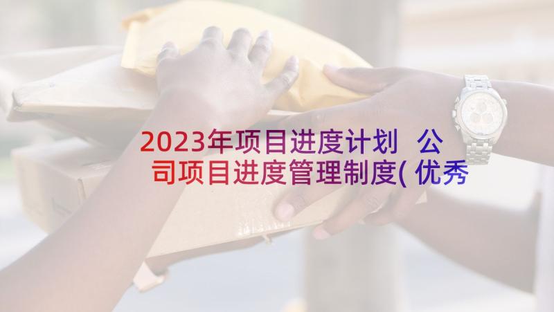 2023年项目进度计划 公司项目进度管理制度(优秀9篇)