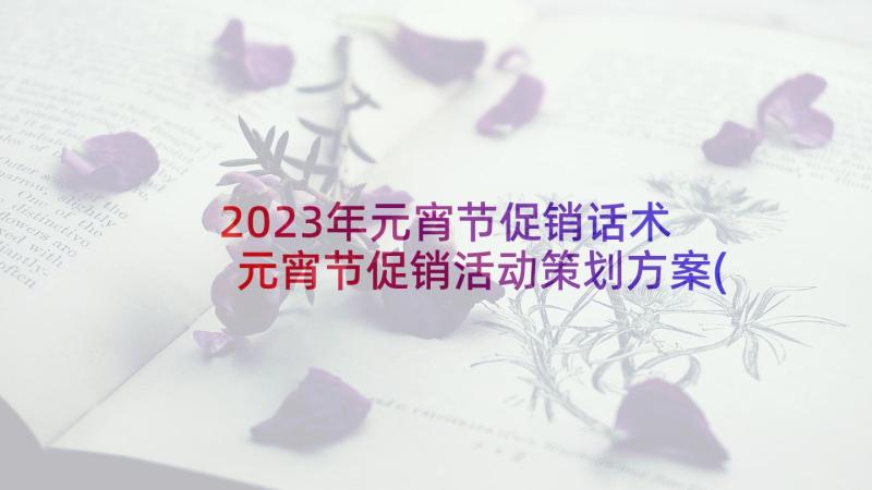 2023年元宵节促销话术 元宵节促销活动策划方案(优质7篇)