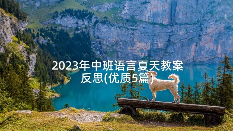 2023年中班语言夏天教案反思(优质5篇)