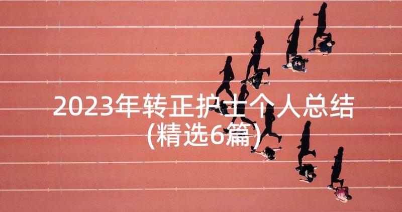 2023年转正护士个人总结(精选6篇)