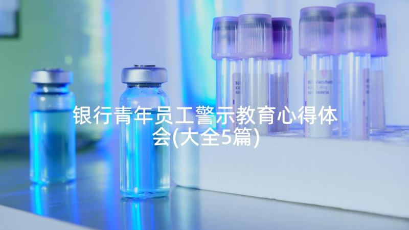 银行青年员工警示教育心得体会(大全5篇)