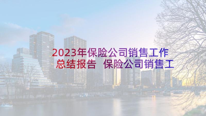 2023年保险公司销售工作总结报告 保险公司销售工作总结(优质5篇)