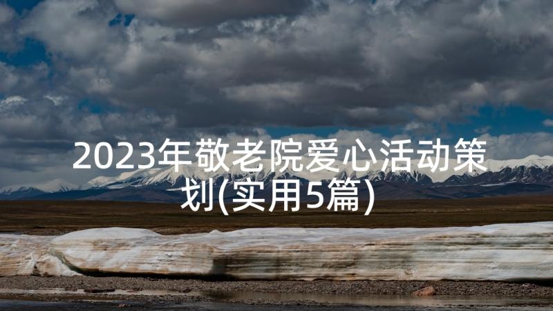 2023年敬老院爱心活动策划(实用5篇)