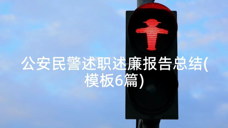 公安民警述职述廉报告总结(模板6篇)