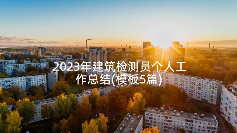 2023年建筑检测员个人工作总结(模板5篇)