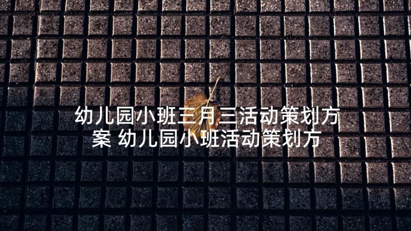 幼儿园小班三月三活动策划方案 幼儿园小班活动策划方案方案(大全6篇)