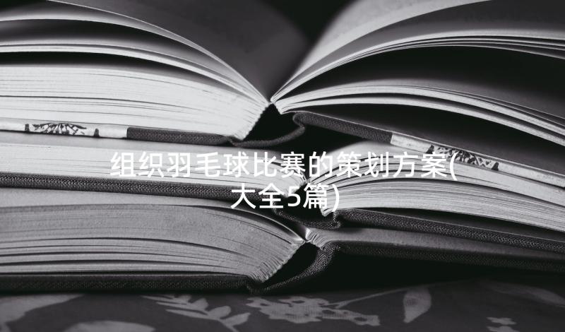 组织羽毛球比赛的策划方案(大全5篇)