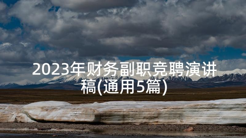 2023年财务副职竞聘演讲稿(通用5篇)