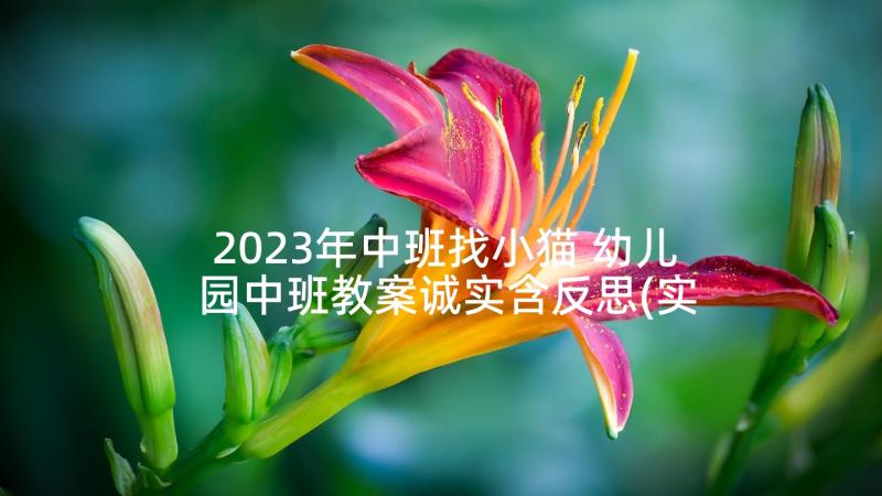 2023年中班找小猫 幼儿园中班教案诚实含反思(实用5篇)