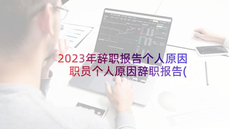 2023年辞职报告个人原因 职员个人原因辞职报告(汇总5篇)