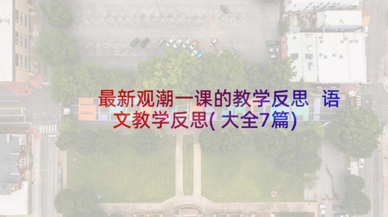 最新观潮一课的教学反思 语文教学反思(大全7篇)