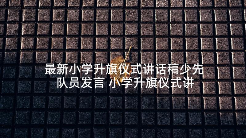 最新小学升旗仪式讲话稿少先队员发言 小学升旗仪式讲话稿(大全10篇)