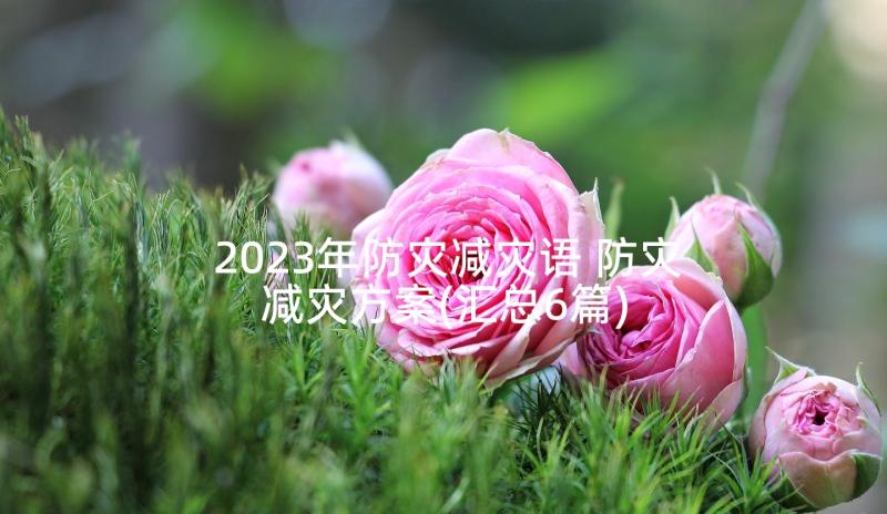 2023年防灾减灾语 防灾减灾方案(汇总6篇)