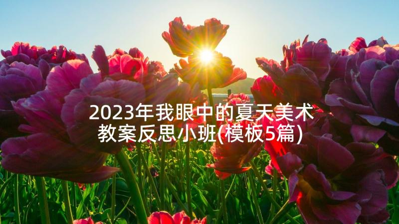 2023年我眼中的夏天美术教案反思小班(模板5篇)