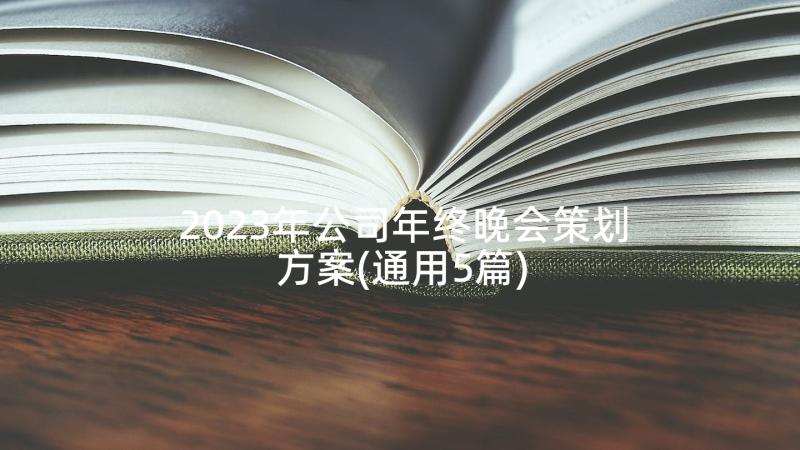 2023年公司年终晚会策划方案(通用5篇)