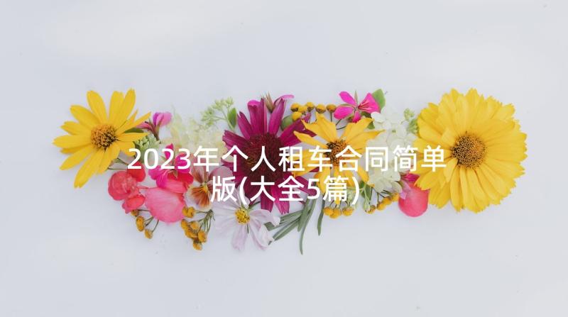 2023年个人租车合同简单版(大全5篇)