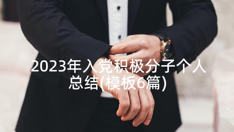 2023年入党积极分子个人总结(模板6篇)