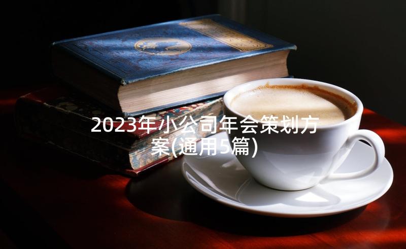 2023年小公司年会策划方案(通用5篇)