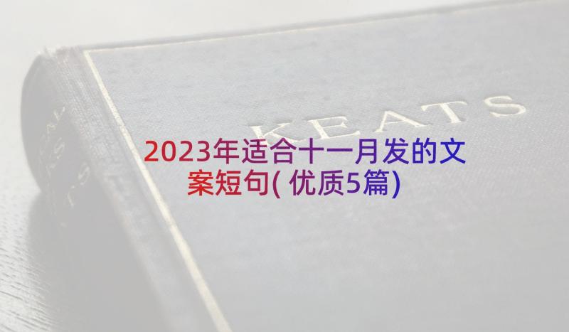 2023年适合十一月发的文案短句(优质5篇)