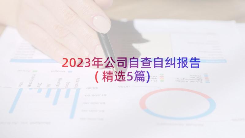 2023年公司自查自纠报告(精选5篇)