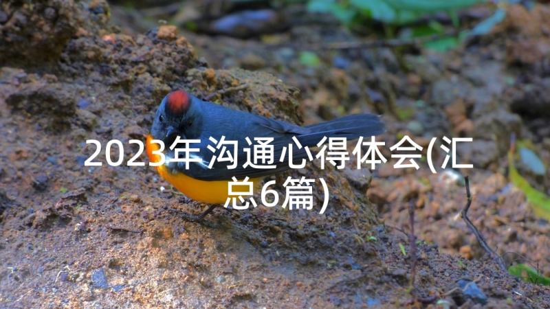 2023年沟通心得体会(汇总6篇)