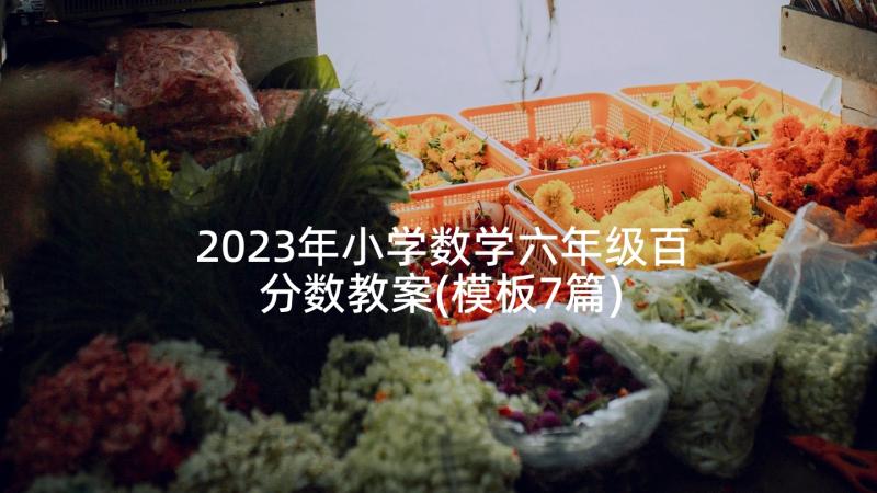 2023年小学数学六年级百分数教案(模板7篇)