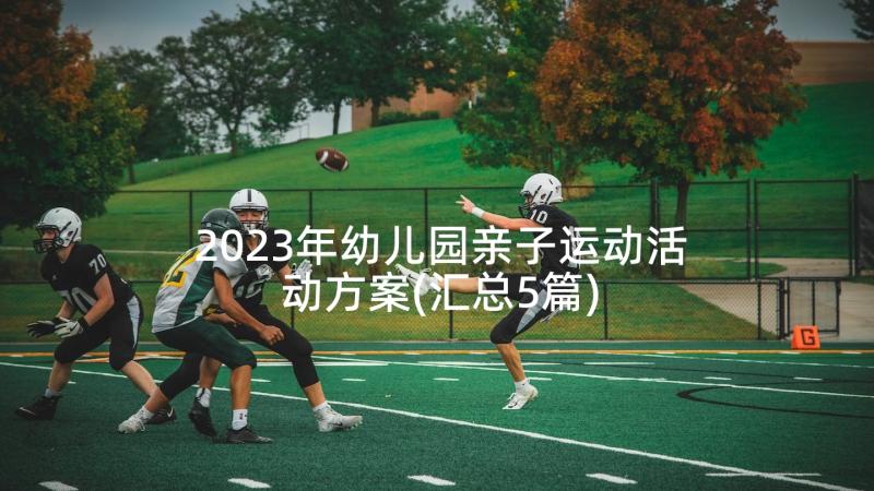 2023年幼儿园亲子运动活动方案(汇总5篇)