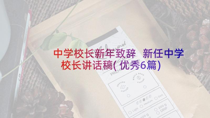 中学校长新年致辞 新任中学校长讲话稿(优秀6篇)