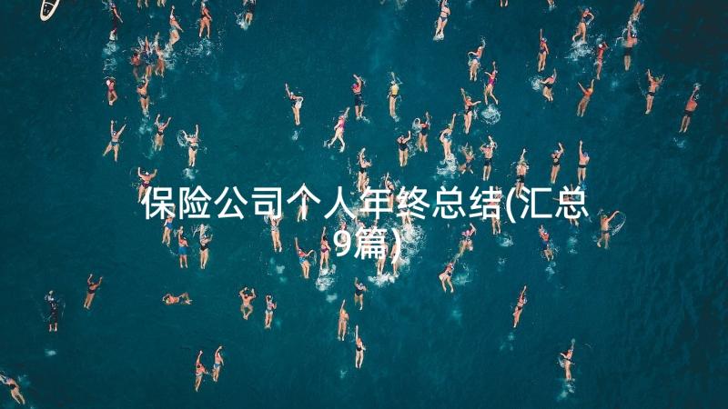 保险公司个人年终总结(汇总9篇)