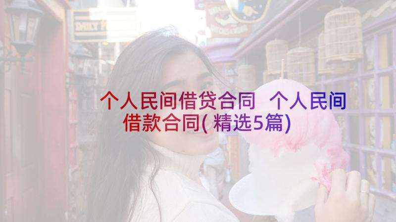 个人民间借贷合同 个人民间借款合同(精选5篇)