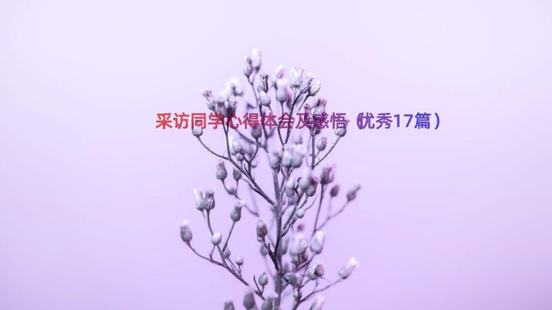 采访同学心得体会及感悟（优秀17篇）