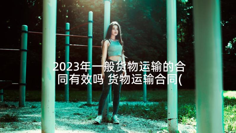 2023年一般货物运输的合同有效吗 货物运输合同(精选5篇)