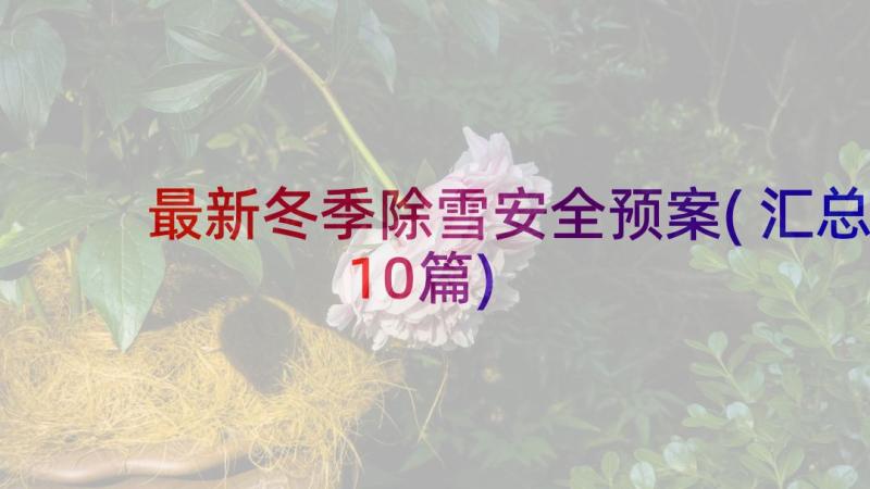 最新冬季除雪安全预案(汇总10篇)