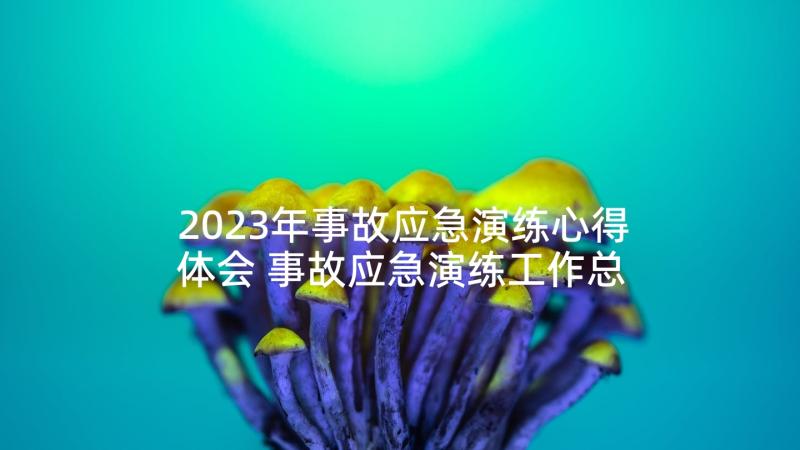 2023年事故应急演练心得体会 事故应急演练工作总结(模板5篇)