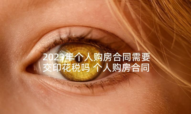 2023年个人购房合同需要交印花税吗 个人购房合同(汇总8篇)