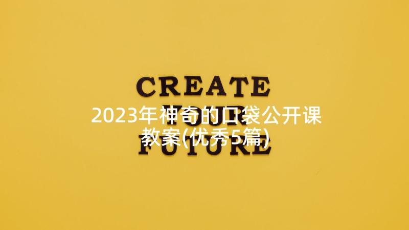 2023年神奇的口袋公开课教案(优秀5篇)