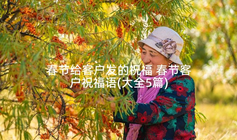 春节给客户发的祝福 春节客户祝福语(大全5篇)