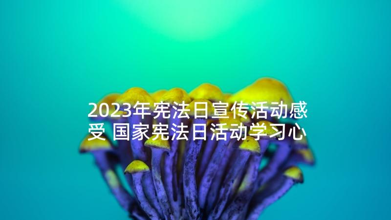 2023年宪法日宣传活动感受 国家宪法日活动学习心得体会(优秀5篇)